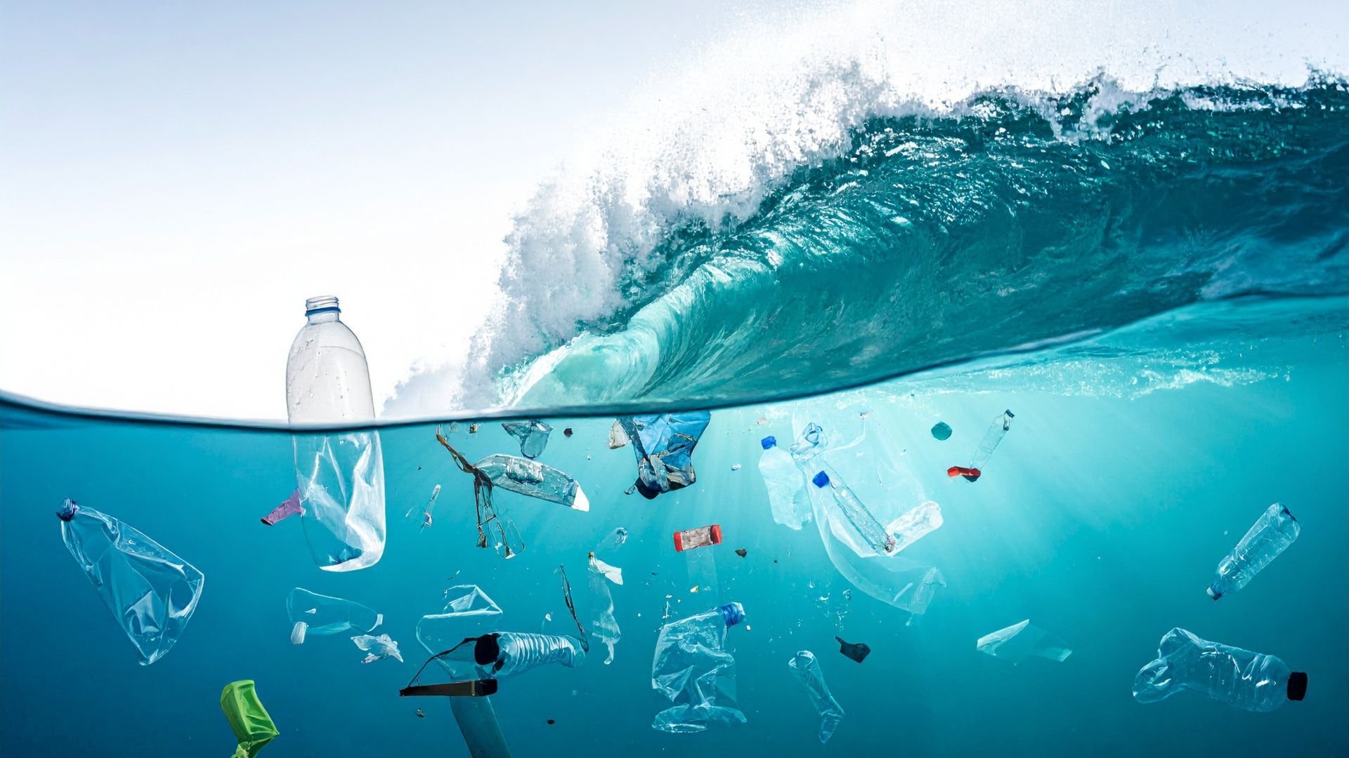 Environmental impact