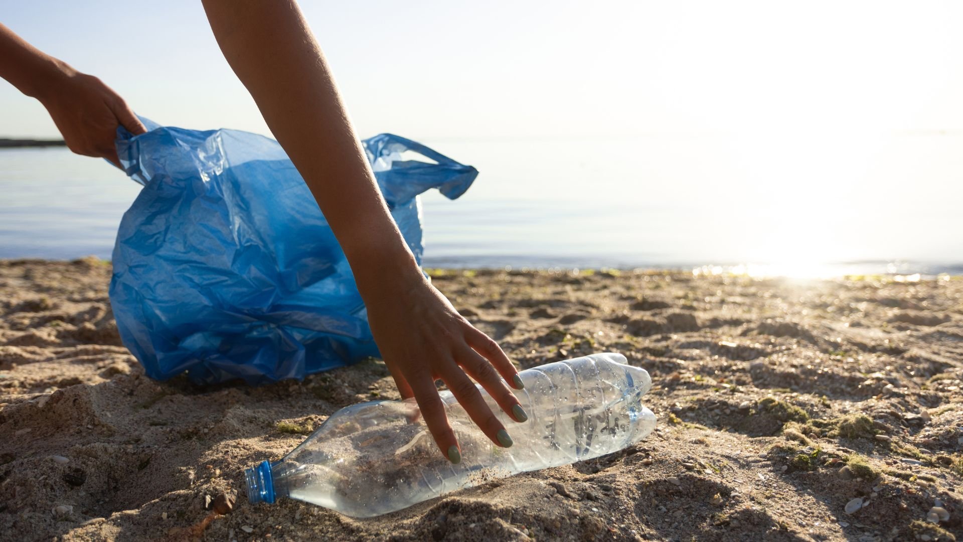 beach cleanup