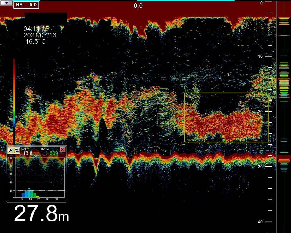 FISHFINDER-interface