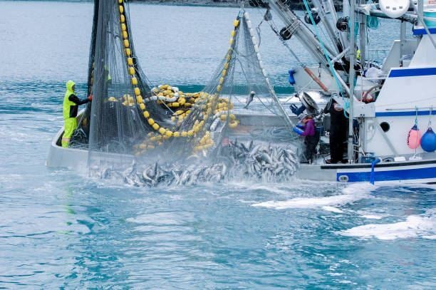 SECTION 2 COMMERCIAL FISHING