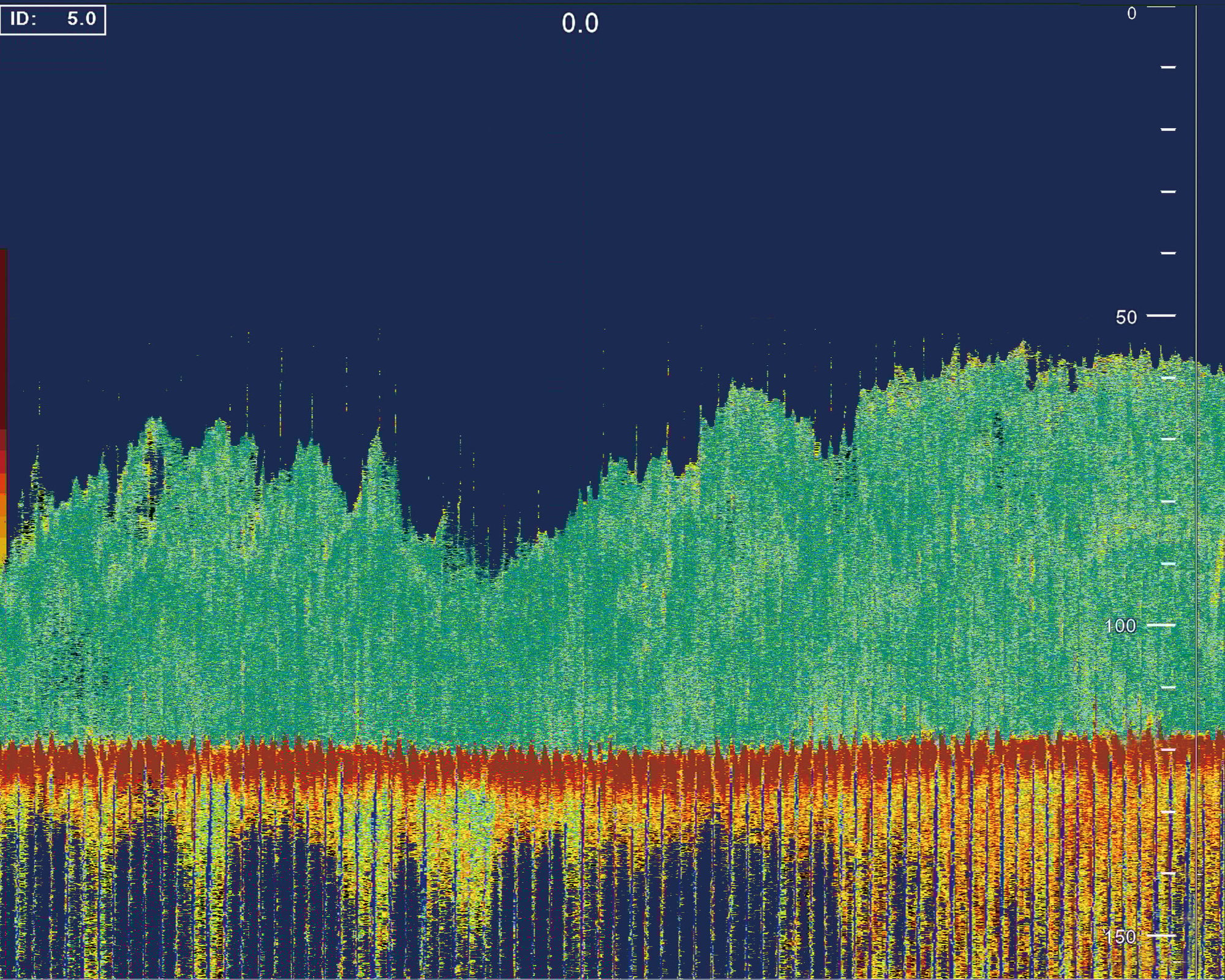 FSS-3BB_non-swimbladdered_fish_echo