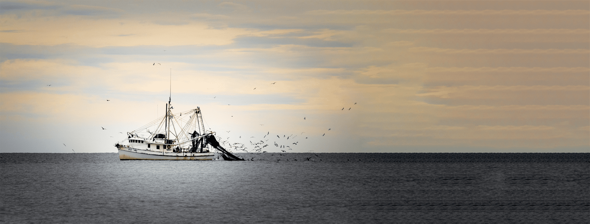 SECTION KEY BENEFITS COMMERCIAL FISHING