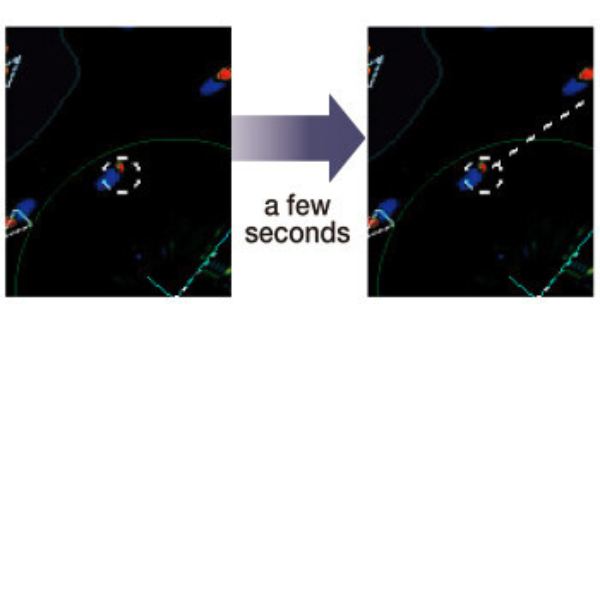 Feature 4 Image