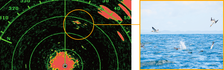 Feature 4 Image