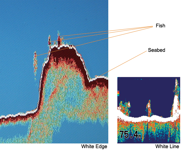 Feature 2 Image