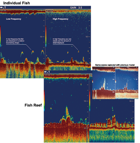 Feature 3 Image