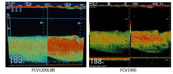 Feature 3 Image