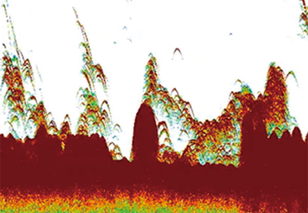 Feature 2 Image
